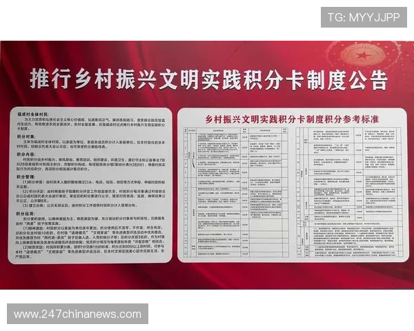 D88尊龙会员积分兑换系统详解，积分如何快速累积与使用指南